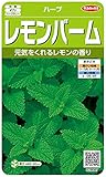 サカタのタネ 実咲ハーブ8087 レモンバーム ハーブ 00928087