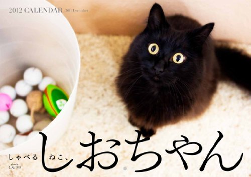 しゃべるねこ しおちゃん12calendar しんコロ の感想 ブクログ