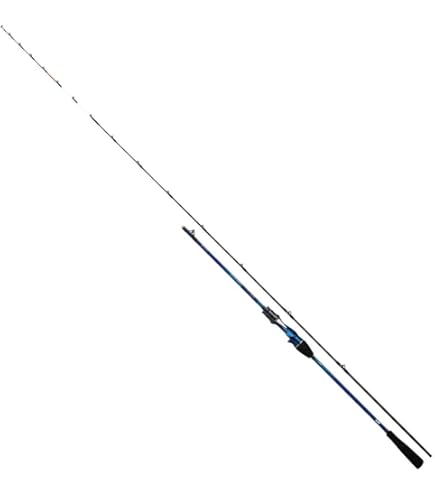 Amazon | ダイワ(DAIWA) 船竿 リーオマスター真鯛AIR S-270AGS 釣り竿