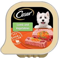 Amazon | シーザー トレイ 成犬用 100g×24個 彩りサーモン ポテト