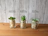 観葉植物 吊り下げ ミニ フェイク 造花 ♪【グリーンパーク】ヘキサゴンボトル×ジュートファイバー＜タイプ：ゼブラアロエ＞♪ インテリアグリーン アーティフィシャル