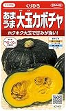 サカタのタネ 実咲野菜1000 あまうま大玉カボチャ くりひろ 00921000 10袋セット