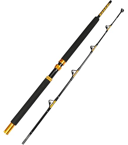 Amazon | Fiblink 海水釣り トローリングロッド 1ピース/2ピース