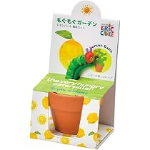 Amazon｜聖新陶芸 はらぺこあおむし もぐもぐガーデン栽培セット