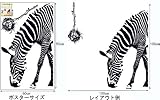 レイアウト自由 はがせる クロス ウォール ステッカー シマウマのシリーズ 中型サイズ 壁紙 ペーパー シール 防水