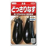 [野菜タネ]どっさりナス：黒福(くろふく) の種2袋セット[サカタ　春まき]