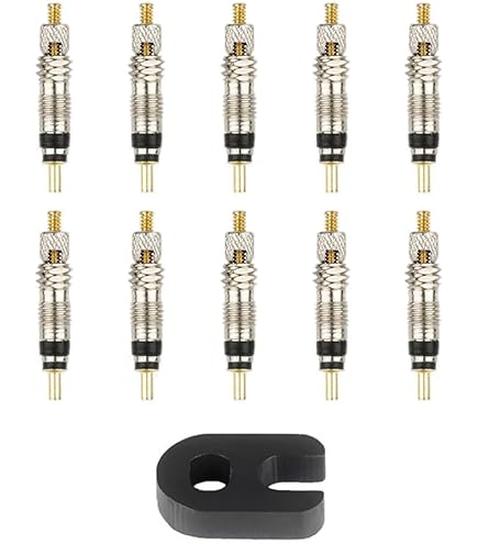 SCHWALBE (シュワルベ) チューブレス バルブ ２個入り 仏式/バルブ長40mm [並行輸入品] Amazon | SCHWALBE (シュワルベ) チューブレス バルブ 2個入り