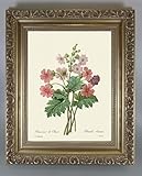 BiblioArt Series　P.J.ルドゥーテ 「サクラソウ」 金縁額装品
