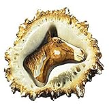 SierraライフスタイルElk Burr Pull、馬