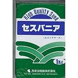 【種子】 セスバニア（ロストアラータ） 1kg カネコ種苗