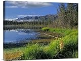 グローバルギャラリーNutzotin山とタイガに反映されReceding湖アラスカ壁アート 24W x 20H in. ホワイト GCS-396818-2024-142