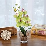 NIUA 造花 胡蝶蘭 優雅で高貴な胡蝶蘭 鉢植 人工観葉植物 鉢植え造花 手芸 綺麗 枯れない スーツ 家庭装飾品　雑貨 お誕生日 お祝い ギフト インテリア 飾り (グリーン)