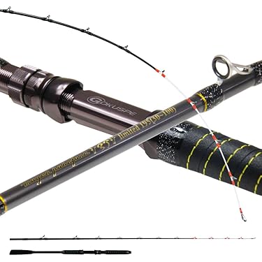 Amazon.co.jp 最新リリース: 船竿 の新着ランキングです。