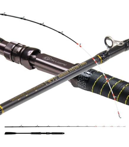 Amazon | ゴクスペ(Gokuspe) 船竿 無限ピュア船 シマアジリミテッド