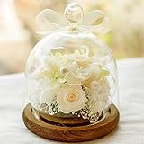 プリザーブドフラワー ガラスドーム ギフト Mサイズ （アンティークホワイト） ガラスの森～ローズシュシュ～