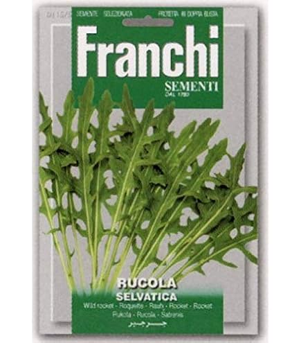 Amazon | 【FRANCHI社種子】【115/3】ルッコラ・COLTIVATA SEL