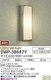 大光電機　LEDアウトドアライト 【DWP-38647Y】