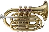 Stagg WS - TR245 Bb Pocket Trumpet with Case