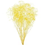 大地農園 プリザーブドフラワー ソフトミニカスミ草 (約22ｇ入り) エンジェルイエロー DO000010-541
