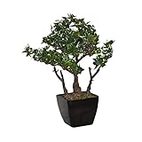 ALEKO Replica Faux with White Edges Tree Artificial Plant Bonsai for Home Office Patio Outdoor Decor