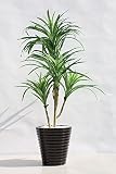 インテリアグリーン人工観葉植物・人気の新ユッカ陶器鉢・光触媒製品