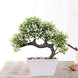 1pc Pineエミュレート盆栽シミュレーション人工花フェイクグリーンポット植物 One Size ホワイト 555627326226