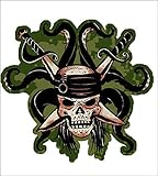 Blue Mountain Wallcoverings DMM2516 Pirates Self-Stick Mini Wall Mural [並行輸入品]