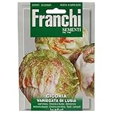 野菜の種 リーフチコリー VARIEGATA DI LUSIA 40/80