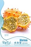 キワノハーブアフリカの角のあるメロン＃NF526クライミング1オリジナルパック、5種/パック、ツノニガウリ種子、