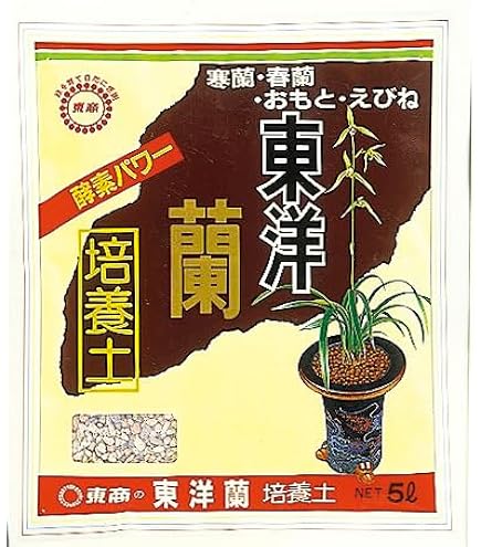 肥前寒蘭銘品『芳翔』成木5条　寒蘭　春蘭　東洋蘭　万年青 Amazon.co.jp: 東洋蘭専用肥料 400g 春蘭 寒蘭 東洋蘭の肥料/クロネコ