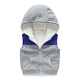 PANCY 子供服 秋冬 綿服 袖なし 防寒コート フード付き ベスト 厚手 裏起毛 シンプル 男の子 女の子(100cm,グレー)
