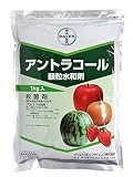 バイエルクロップサイエンス アントラコール顆粒水和剤 1Kg