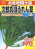 アタリヤ農園 ガーデニング用品 種 お徳用特大袋 次郎丸ほうれん草