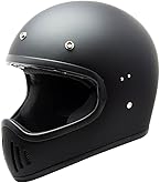 Amazon | ダムトラックス(DAMMTRAX) バイクヘルメット フルフェイス