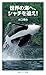 世界の海へ,シャチを追え! 世界の海へ,シャチを追え!