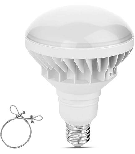 Amazon | パナソニック バラストレス水銀灯 リフレクタ形 200-220V 160