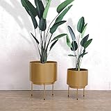 Plant shelf アイロンフラワーラック、リビングルームフラワーポットラックバルコニー盆栽フレームプラントディスプレイスタンドセット2 Flower racks ( 色 : ゴールド , サイズ