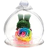 TEATSIGHT プリザーブドフラワー アニマルモス ガラスポット入り フラワーアレンジ ラッピング済み（ うさぎ レインボーローズ ）