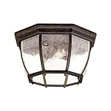 Acclaim 5603BC/SD Flush Mount Collection 4-Light Ceiling Mount Outdoor Light Fixture, Black Coral by