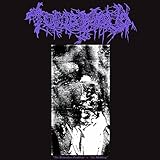 THE BOTTOMLESS PERDITION / THE MOULTING [LP] [Analog]