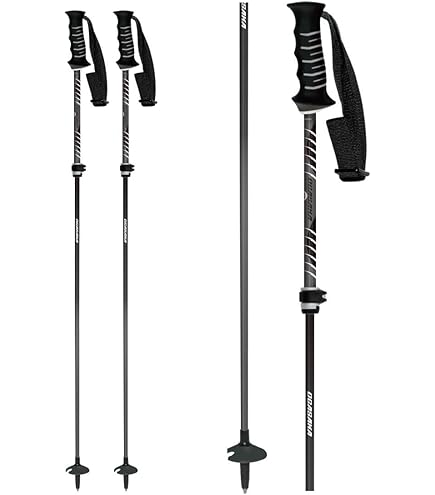 Amazon | [オガサカ] スキーストック 伸縮カーボンポール LC/BLU BLU