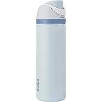 Owala Disney Princess FreeSip Insulated Stainless Steel Water