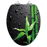 TOPSEAT アクリルアート木製便座 クロムメタルヒンジ付きでゆっくり閉まります Elongated 6TS2E2202SL 1