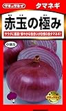 タキイ種苗 たまねぎ 赤玉の極み