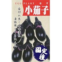 Amazon.co.jp: 一口小なす・ちび丸 種子 0.6ml : DIY・工具・ガーデン
