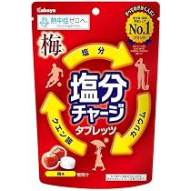 カバヤ 塩分チャージタブレッツ 塩レモン 81g×12個