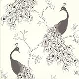 Brewster Prevost Peacock壁紙 シルバー 2686-20272 1