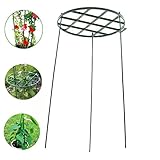 Beito 60cm 園芸支柱 農用 支柱杭 円形 プラント サポーター