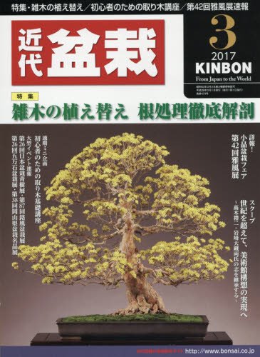 Japan cool culture and products information. - DOMO ARIGATO JAPAN