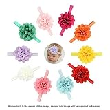 welandtechブティックベビーガールズヘッドバンドセット花ヘアバンド – 10値パック